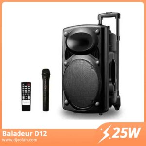 Enceinte Bluetooth Portable Jiepak JP-D12 + 1 micro baladeur et une télécommande