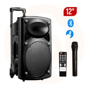 Grand baladeur D12 JIEPAK - 12 pouces - 1 Micro - Enceinte Haut Parleur Bluetooth