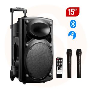 Baladeur JIEPAK D15 - 2 Micro - Enceinte Haut Parleur Bluetooth