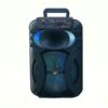 Haut-parleur portable sans fil BT-1001 - 10 pouces - avec micro à bas prix